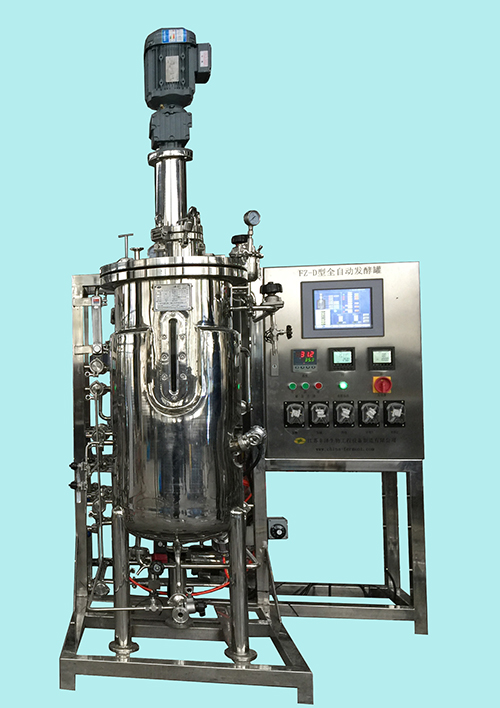 FZ-D型300L發酵罐