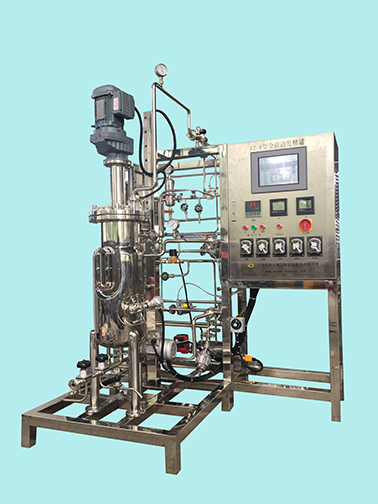 FZ-D型20L發酵罐